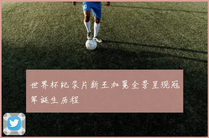 世界杯纪录片新王加冕全景呈现冠军诞生历程