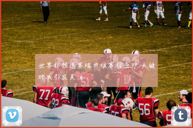 世界杯预选赛瑞典组赛程出炉 关键对决引发关注
