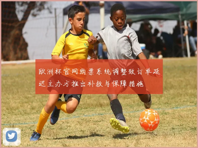 欧洲杯官网购票系统调整致订单延迟主办方推出补救与保障措施