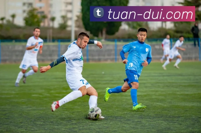 App Interface Preview