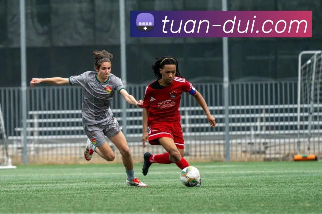 爱体育登陆地址APP 封面图